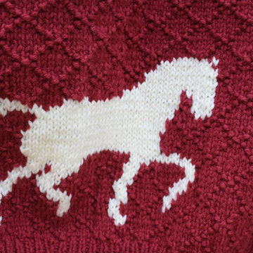 Running Horses Pullover