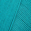 Dark Teal (40)