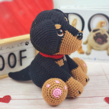 Rambo the Rottweiler