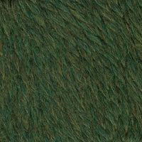 Seagrass (145)