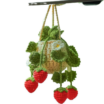 Strawberry Car Hanging Plant