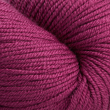 Raspberry (02)
