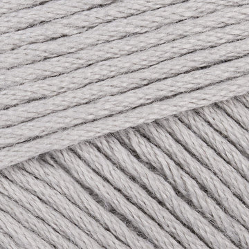 Ice (97100B)