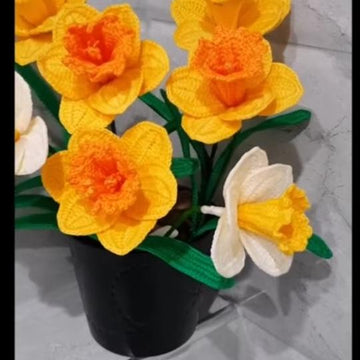 Crochet Daffodils flower
