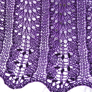 Lavender fields