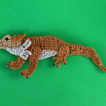 Lizard
