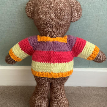 Teddy with Jumper