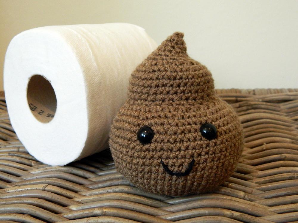 Mr Poop