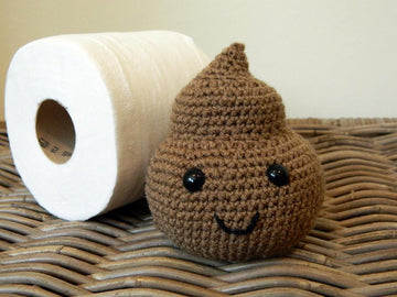 Mr Poop