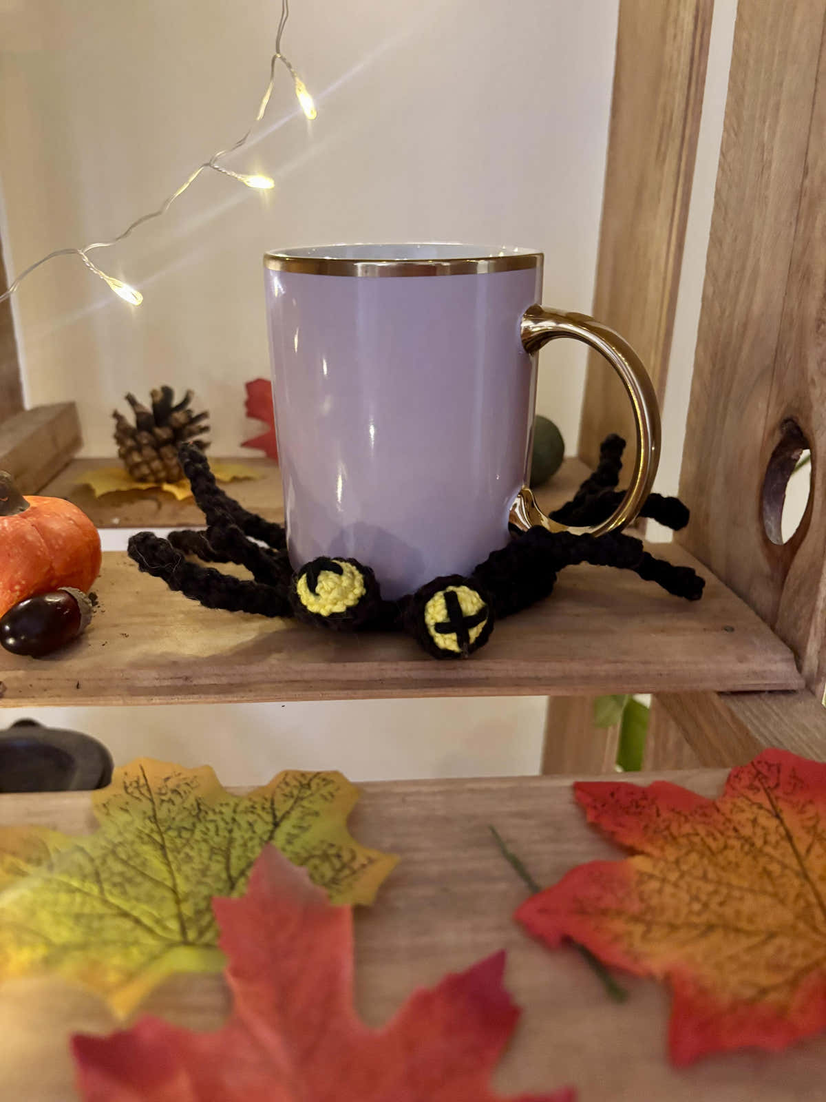 Spider coaster