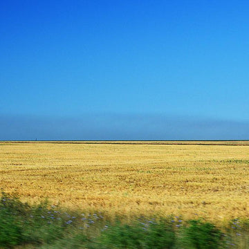 My Prairies