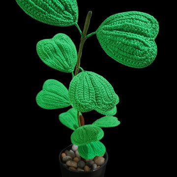 Crochet Sweetheart Hoya plant