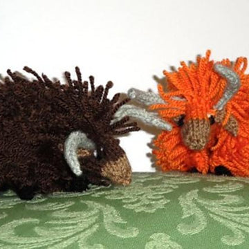 Max and Angus Highland Bulls