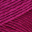 Fuchsia (146)