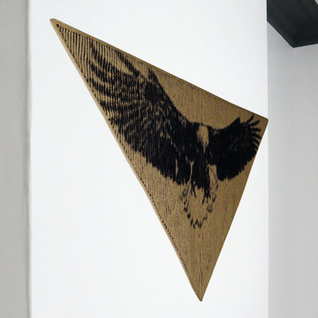 Eagle Illusion