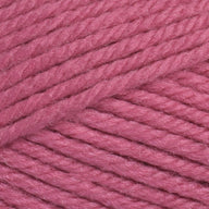Hibiscus (3331)