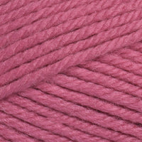 Hibiscus (3331)