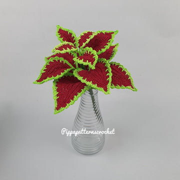 Coleus Red