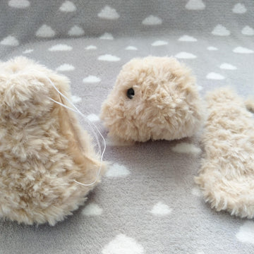 Soft Bunny