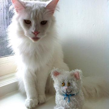 Shelf Cat Fluffy One