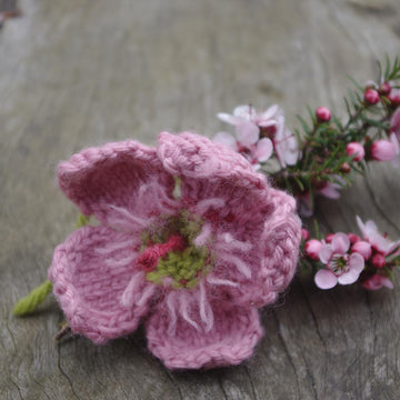 Leptospermum (tea tree)