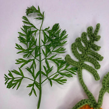 Carrot