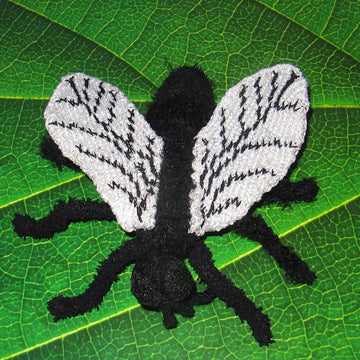 Not So Common House Fly