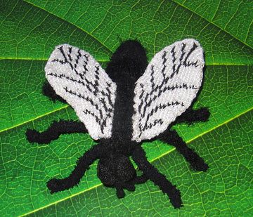 Not So Common House Fly