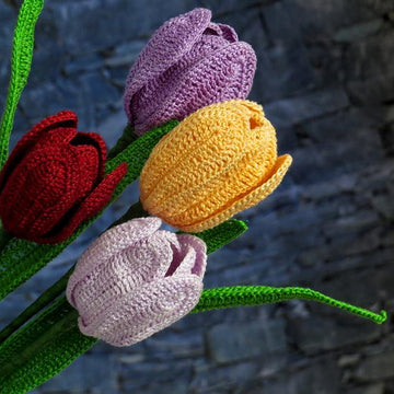 Tulip flower long stem