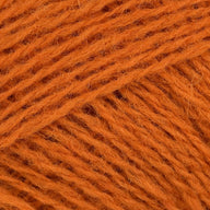 Pumpkin (0470)
