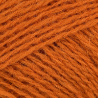 Pumpkin (0470)