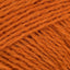 Pumpkin (0470)