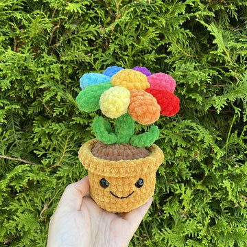 Potted Rainbow Flower with Bumblebee