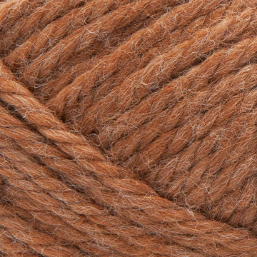 Cider (843-125V)