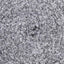 Woolly Ash Grey (242)