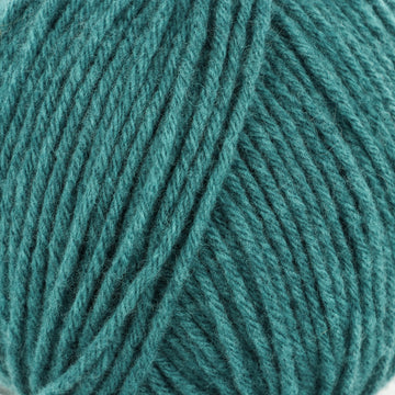 Teal (201362)