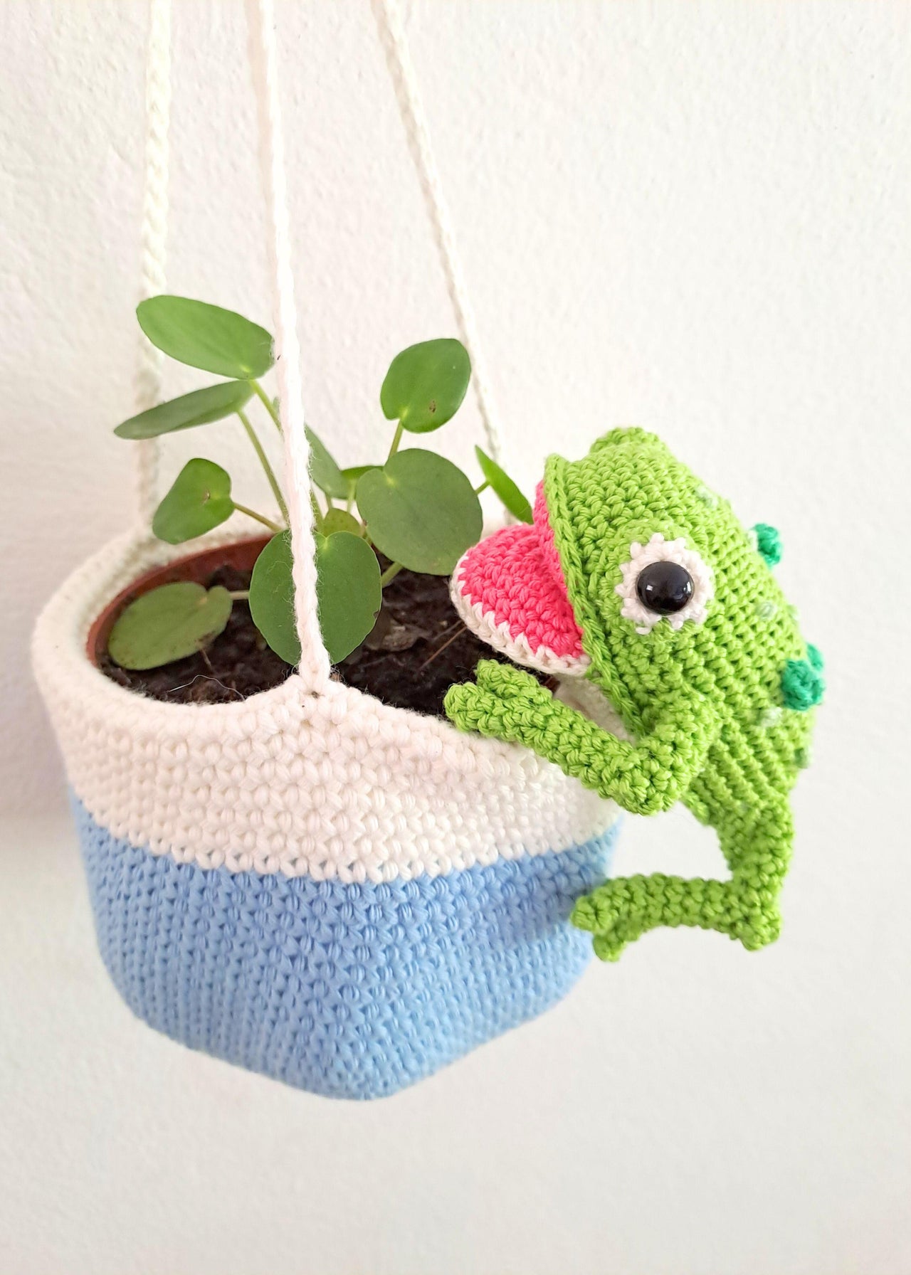 Frog Hanging Planter