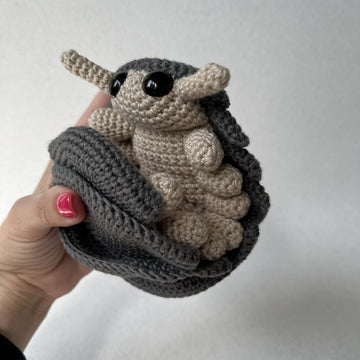Roly Poly Pill Bug