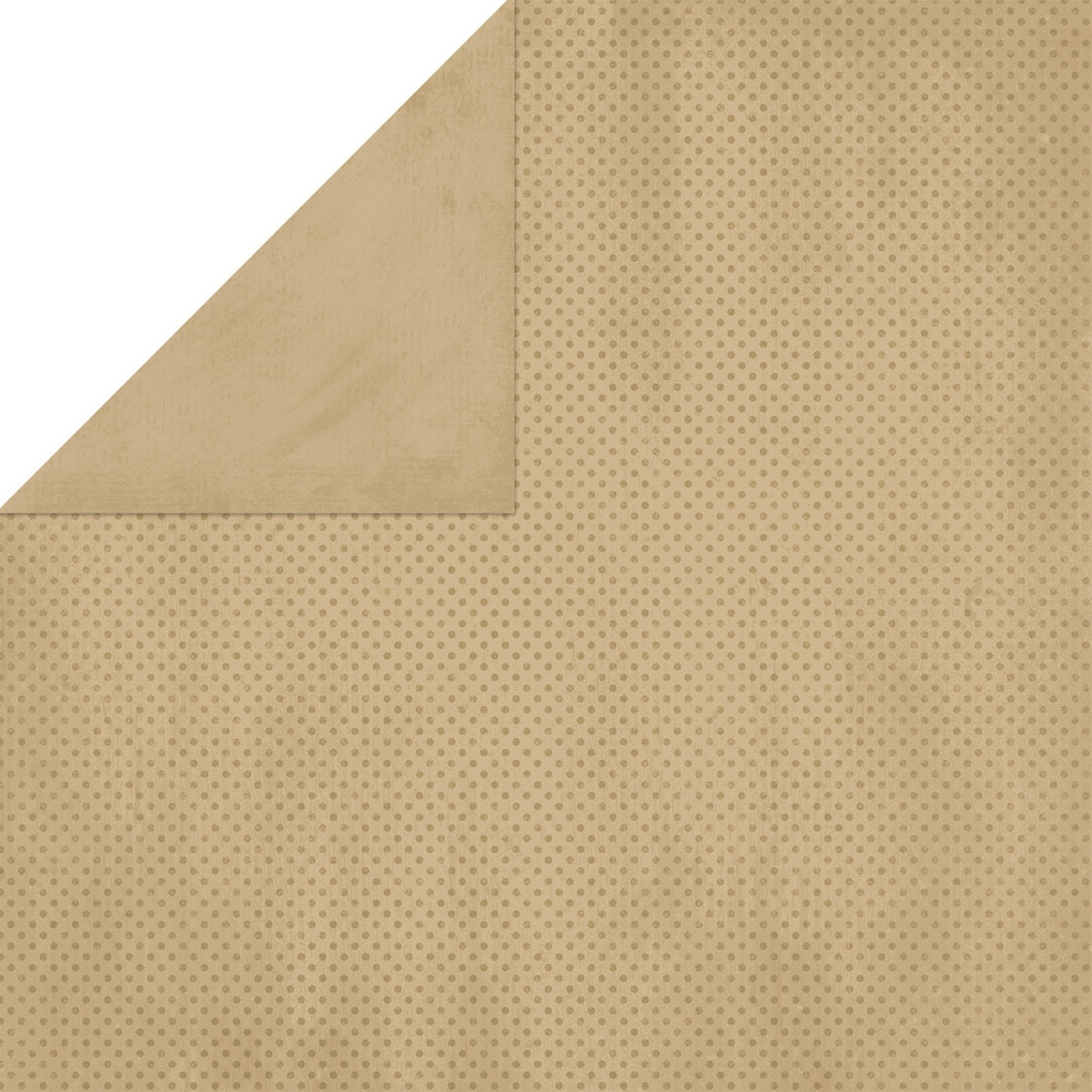 American Crafts BoBunny Double Dot Double-Sided Textured Cardstock 12"X12" 25/Pkg - Decaf