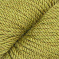 Lizard (10)