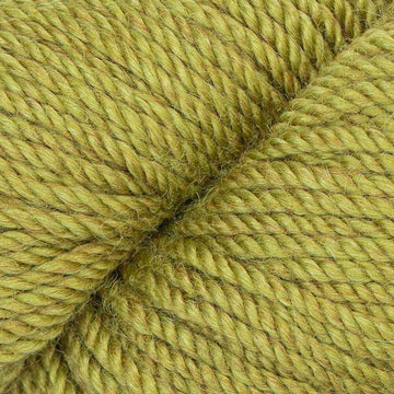 Lizard (10)