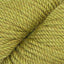Lizard (10)