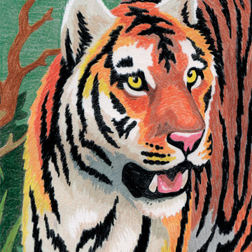 Royal Brush Mini Color Pencil By Number Kit 5"X7" - Jungle Tiger