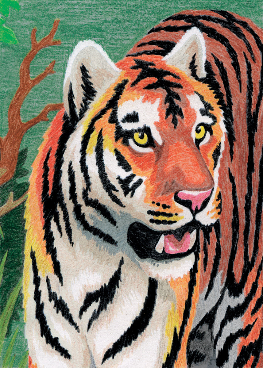 Royal Brush Mini Color Pencil By Number Kit 5"X7" - Jungle Tiger