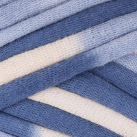Blue Skies Variegated (25024)