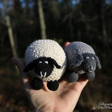 Valentina the sheep
