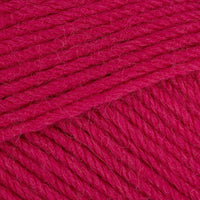 Raspberry (907)