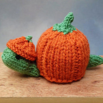Pumpkin Tortoise - Chocolate Orange Cover