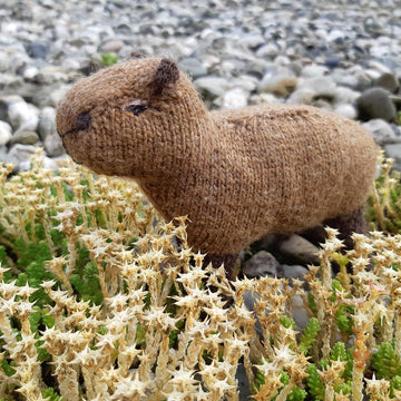Capybara