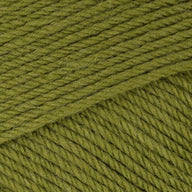 Olive (144)